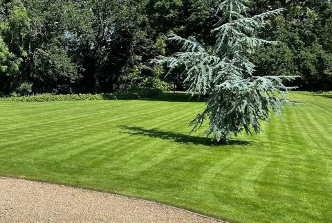 Taking care of your lawn in March 2021