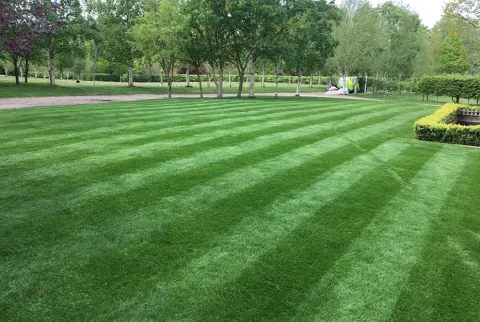 Taking care of your lawn in April