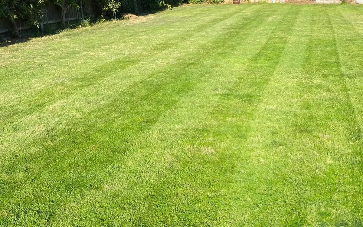 Lawn Aeration