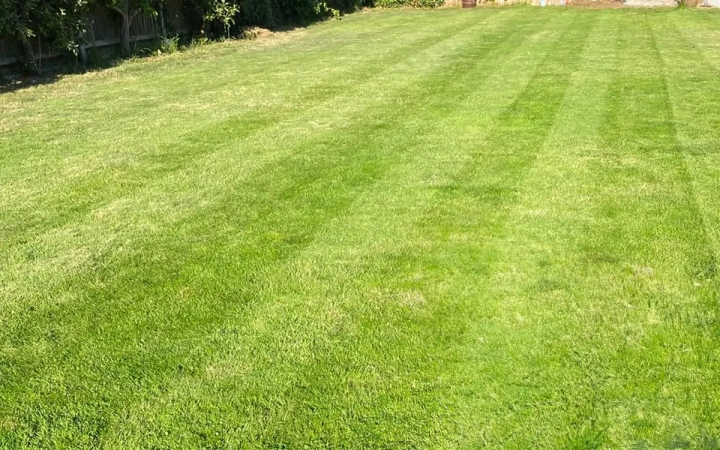Lawn Turfing Service Suffolk