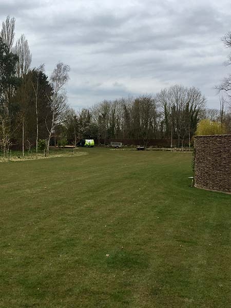 Taking care of your lawn in Feb