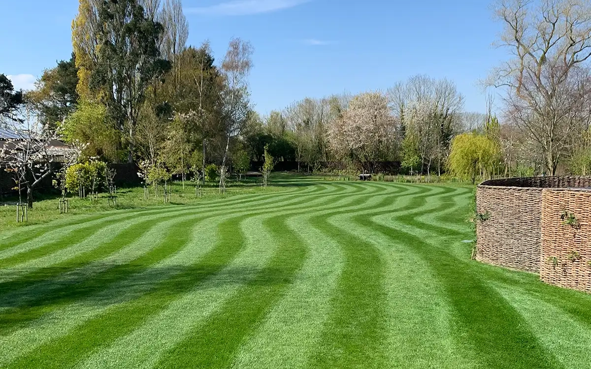 Seasonal Lawn Treatments